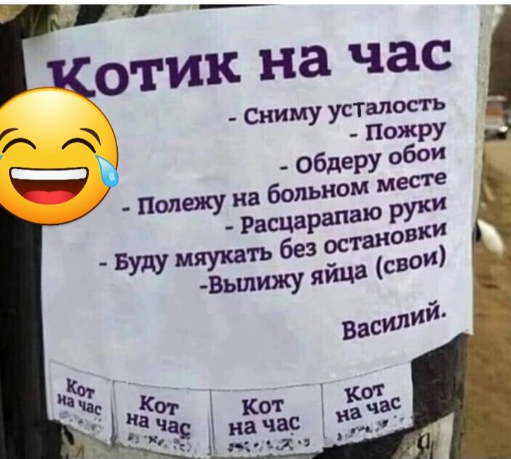 Котик на час смуус УСТЗЛОСГЬ ПОЖРУ _ обдеру 05 есте