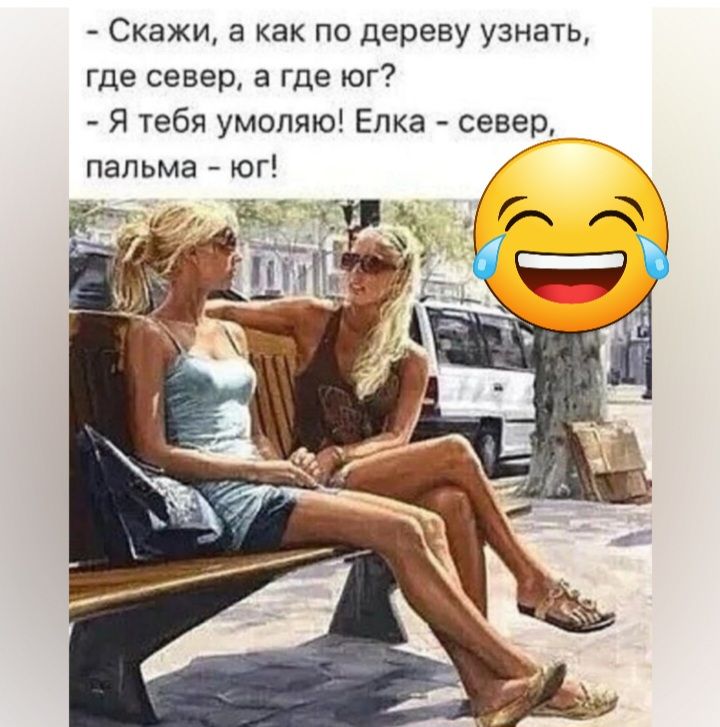 Скажи а как по дереву узнать где север а где юг Я тебя умоляю Елка север пальма юг