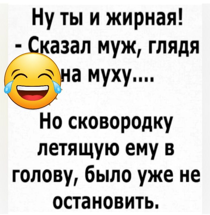 Ну ты и жирная азал муж глядя а муху Но сковородку летящую ему в голову было уже не остановить