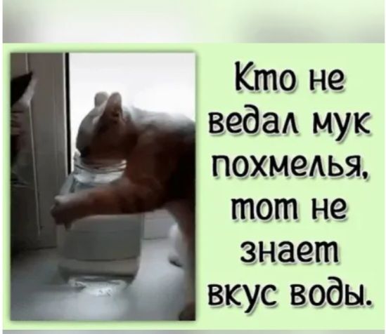 Кто не веда мук похмедья тот не знает вкус воды