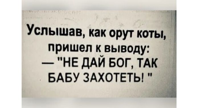 Услышав как орут коты пришел к выводу НЕ ДАЙ БОГ ТАК БАБУ здхотеты