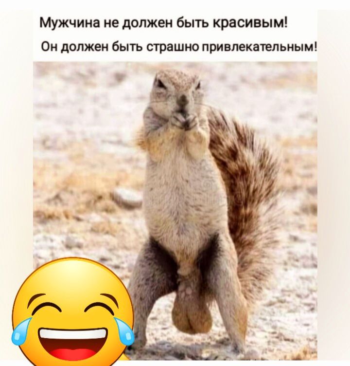 Мужчина не должен быть крвсивым Он должен Быть страшно привлекательным