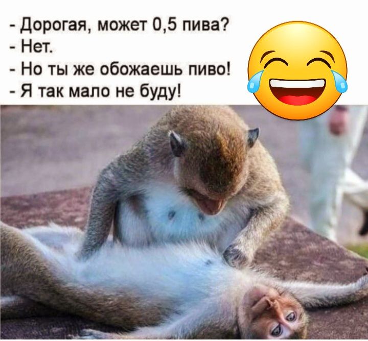 дорогая может 05 пива Нет Но ты же обожаешь пины Я так мало не буду
