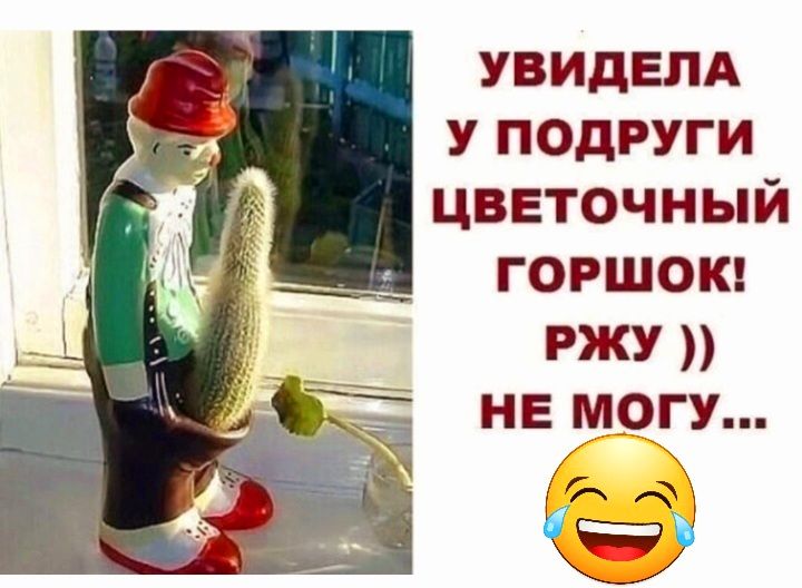 УВИДЕЛА У подруги цветочный горшош ржу НЕ могу