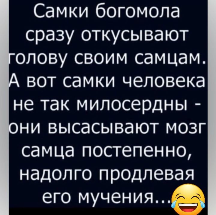 Самки богомола сразу откусывают олову своим самцам вот самки человека не так милосердны ни высасывают мозг самца постепенно надолго продлевая его мученияе