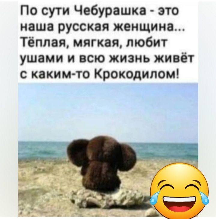 По сути Чебурашка это наша русская женщина Тёплая мягкая любит ушами и всю жизнь живёт с каким то Крокодипом