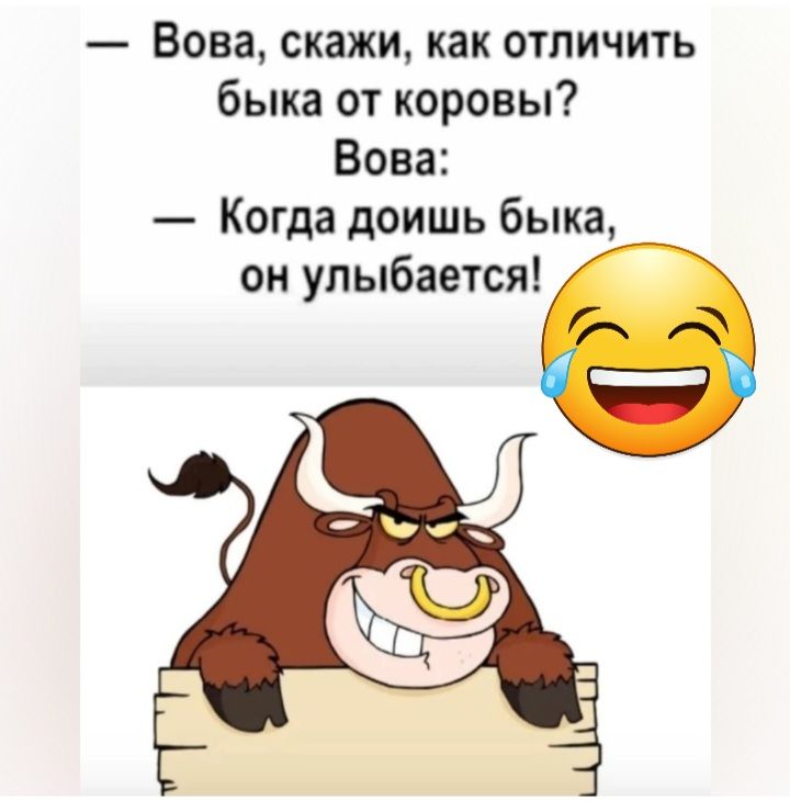 Вова скажи как отличить быка от коровы Вова Когда доишь быка он улыбается