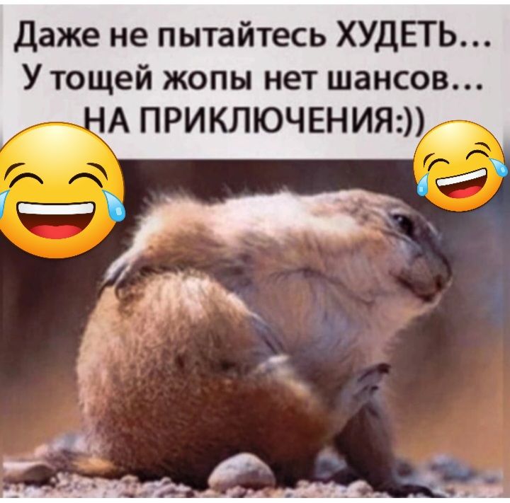 Даже не пытайтесь ХУДЕТЬ У тощей жопы нет шансов А ПРИКЛЮЧЕНИЯ