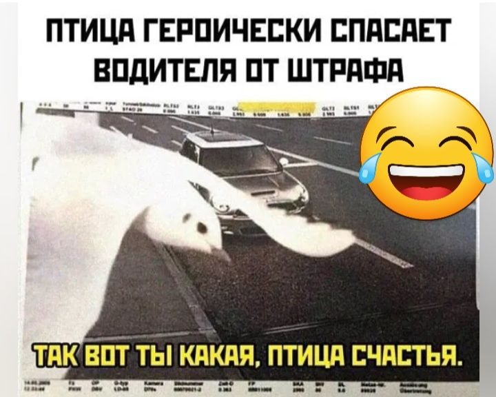 ПТИЦП ГЕРПИЧЕЕКИ ЕППСПЕТ ВПдИТЕЛП ПТ ШТРПФП