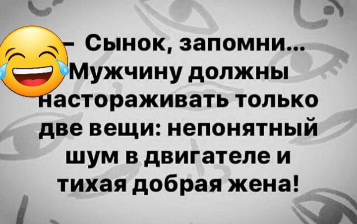 Сынок запомни Мужчину должны астораживать только две вещи непонятный шум в двигателе и тихая добрая жена