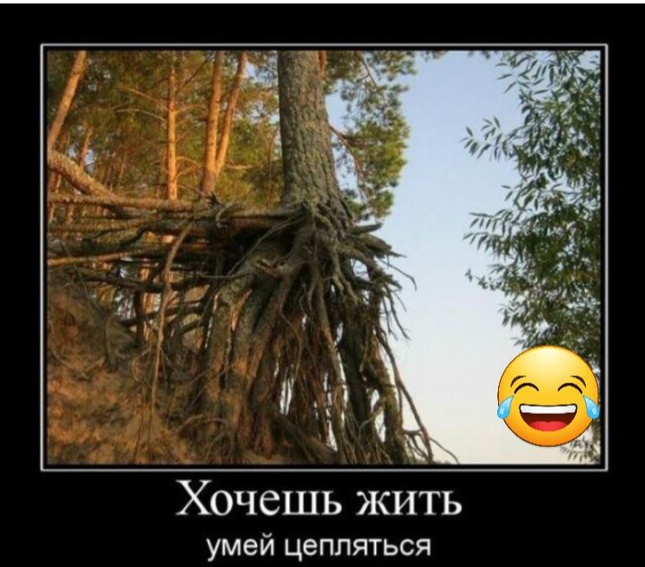 Хочешь жить умей цепляться