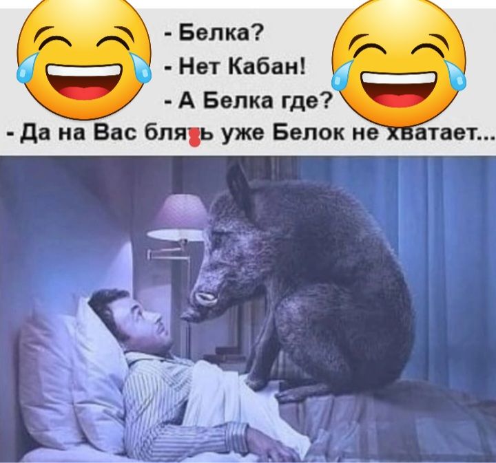 ы Белка7 ы Нет Кабан _ А Балка где