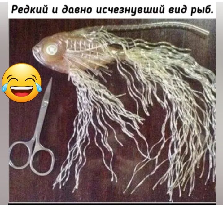 Редкий и давно исчезнувший вид рыб