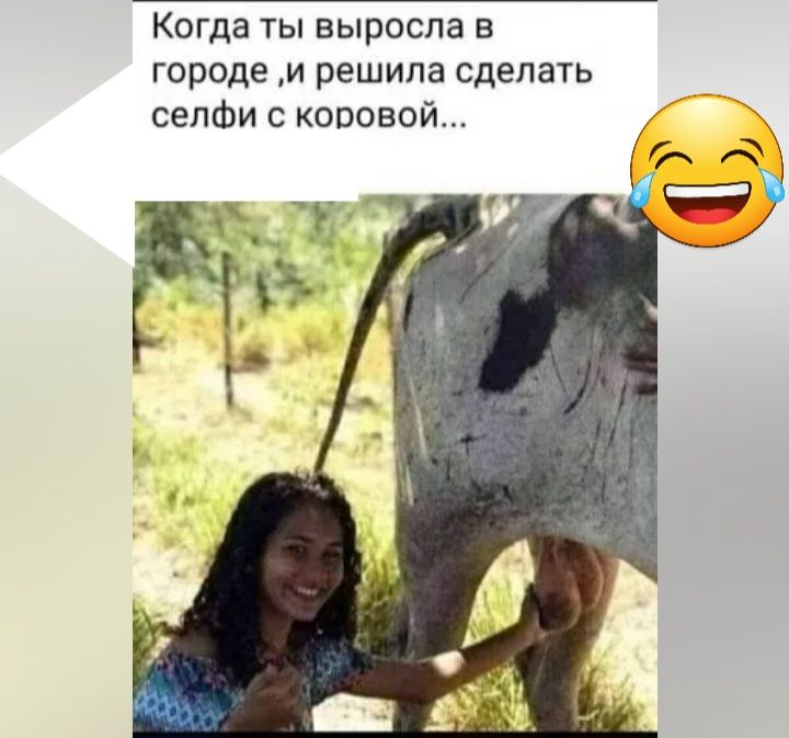 КОГДЭ ТЫ выросла В городе и решила сделать сепфи с коровой