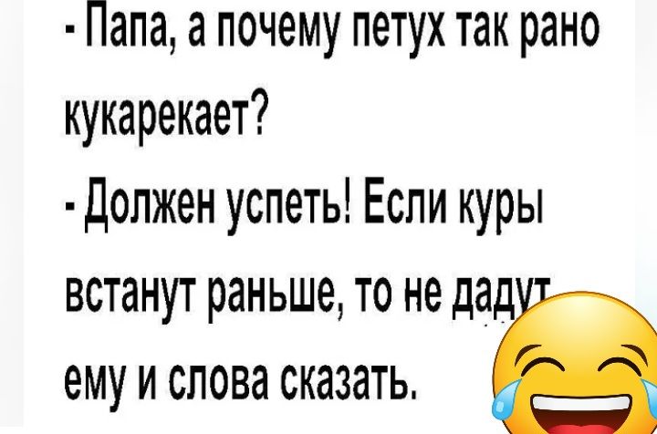 Папа а почему петух так рано кукарекает Должен успеть Если куры встанут раньше то не да ему и слова сказать
