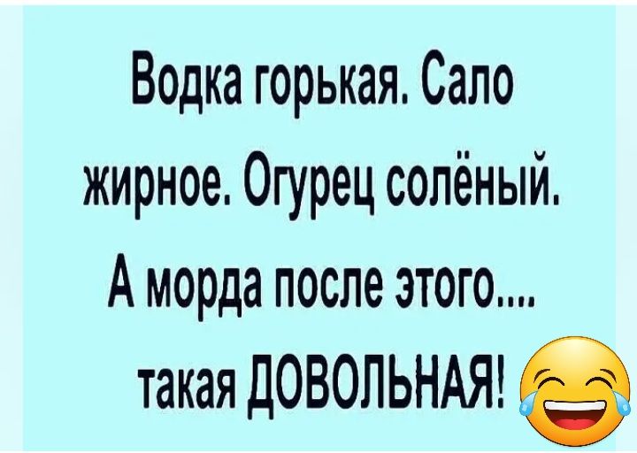 Водка горькая Сало жирное Огурец солёный А морда после ЭТОГО такая довольмт