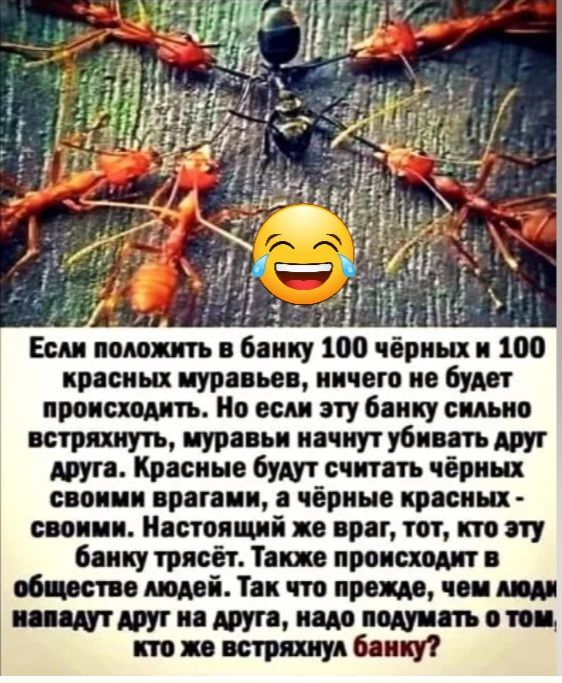 Еп подать банку 100 чёрных и 100 красим иурпьп ничего но будет происходить Ио вси эту биту симс встряхнуть муравьи минут убит друг дип Кринн буш сшить чбрищ спо ии приш чёрные кипиш тики Настоящий по при тот по т блицу трясіг тт проца обще гп Аші Ты что прош чеи МПУ иш МФ т встряхнул бит