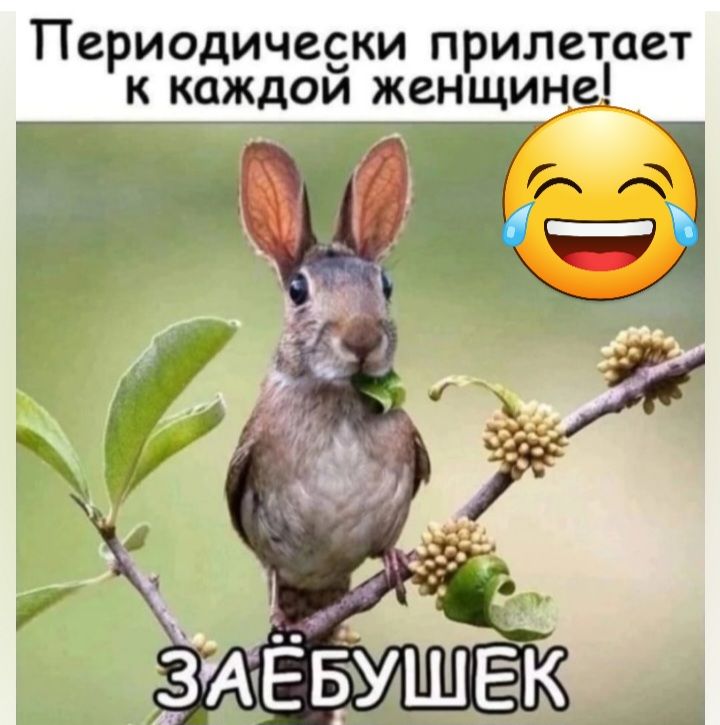 Периодичееки прилетает