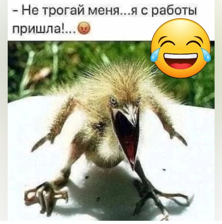 Не трогай меня я с работы пришла
