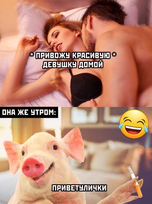 ПРИВЕ ТНПИЧКИ