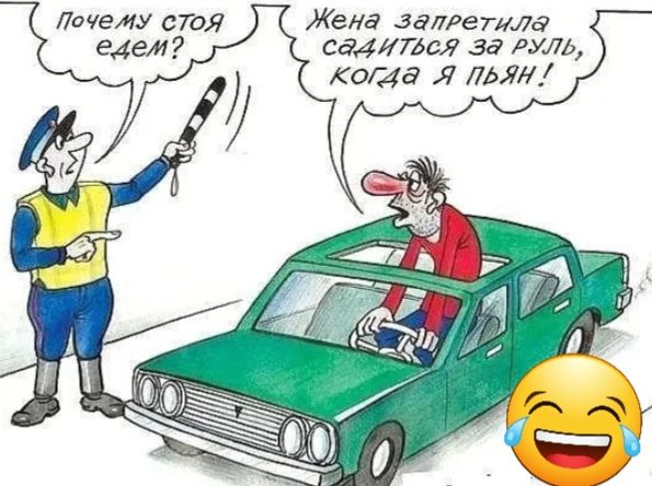 Жена запретила садится за руль кота Я ты Лп че му 1 То едем