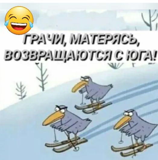 8 ч ГРАЧЛ 1ГЕР 05 5309 ЕЕ АИЮГСЯ ЮГА