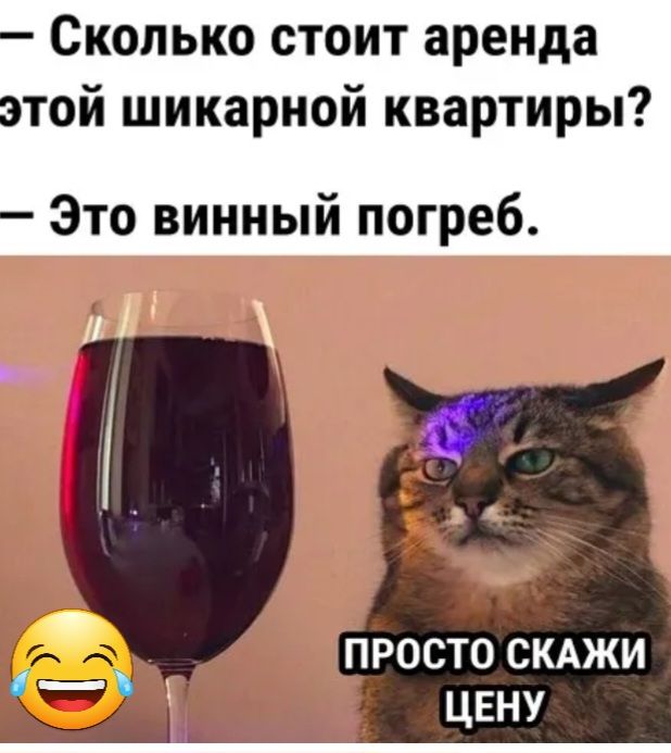 Сколько стоит аренда той шикарной квартиры Это винный погреб ПРОСТО СКАЖИ ЦЕНУ