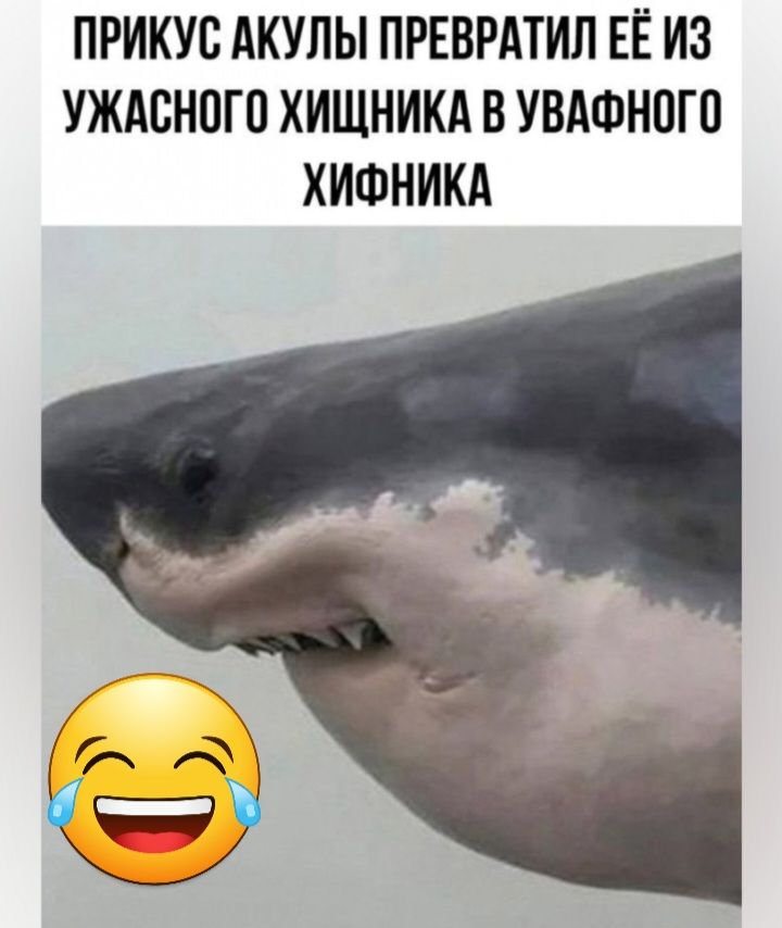 ПРИКУВ АКУЛЫ ПРЕВРАТИП ЕЁ ИЗ УЖАБНПГП ХИЩНИКА В УВАФНПГП ХИЩНИКА
