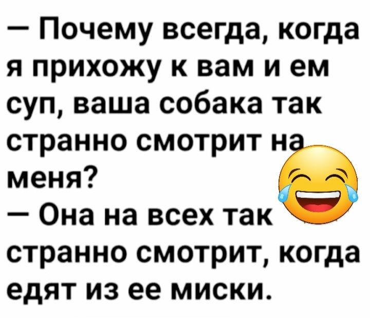 Почему всегда когда я прихожу к вам и ем суп ваша собака так странно смотрит н меня Она на всех так странно смотрит когда едят из ее миски