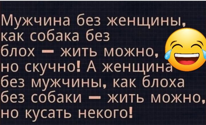 Мужчина без женщины как собака без блох жить можно но скучно А женщин без мужчины как блоха без собаки жить можно но кусать некого