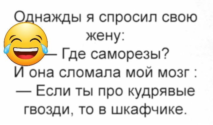 нажды я спросил свою жену Где саморезы она сломала мой мозг Если ты про кудрявые гвозди то в шкафчике