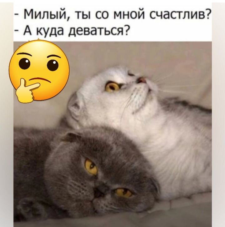 Милый ты со мной счастлив А куда деваться