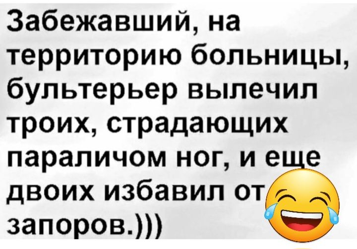 Забежавший на территорию больницы бультерьер вылечил троих страдающих параличом ног и е е двоих избавил от запоровдп