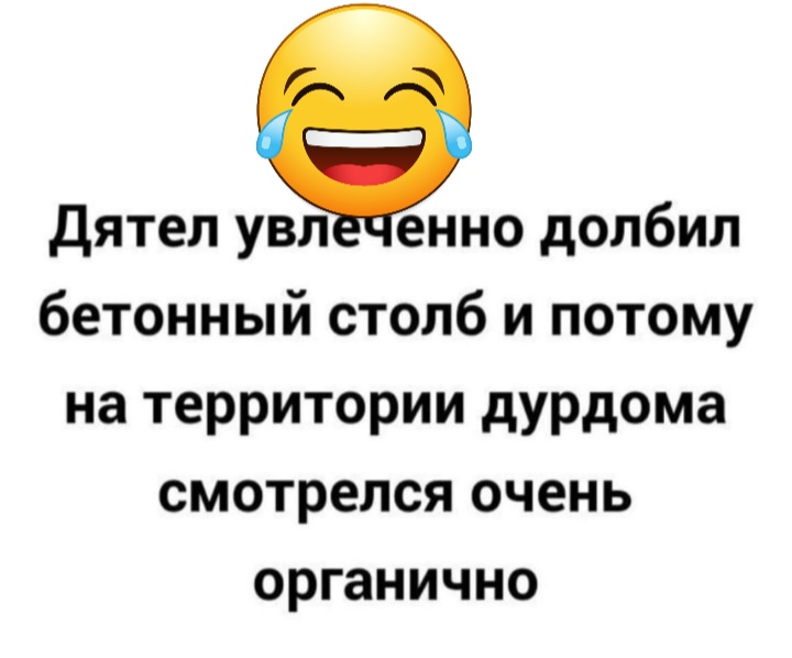 дятел увл енно долбил бетонный столб и потому на территории дурдома смотрелся очень органично