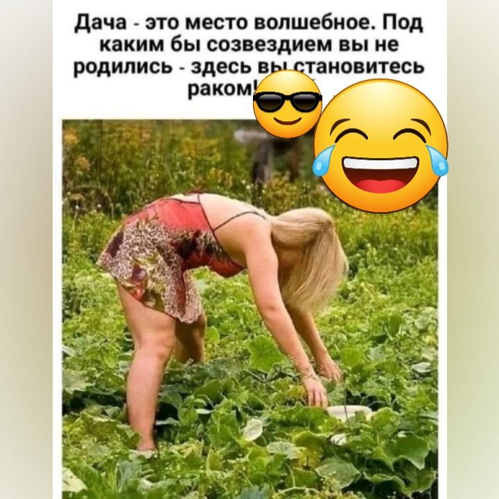 дача по мест волшебное Под каким бы СОЗЕЕЗДИЕМ вы не родились _ здесь в