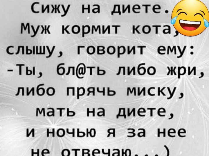 Сижу на диете Муж кормит котан слышу говорит ему Ты блть либо жри либо прячь миску МЭТЬ на диете И НОЧЬЮ Я за нее не отвечаю