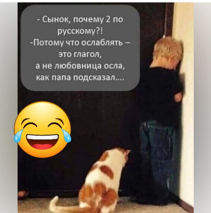 Сынок почему 2 по русскому Потому что ослаблять эш глагол а не любовница осла как папа подсказал _Д