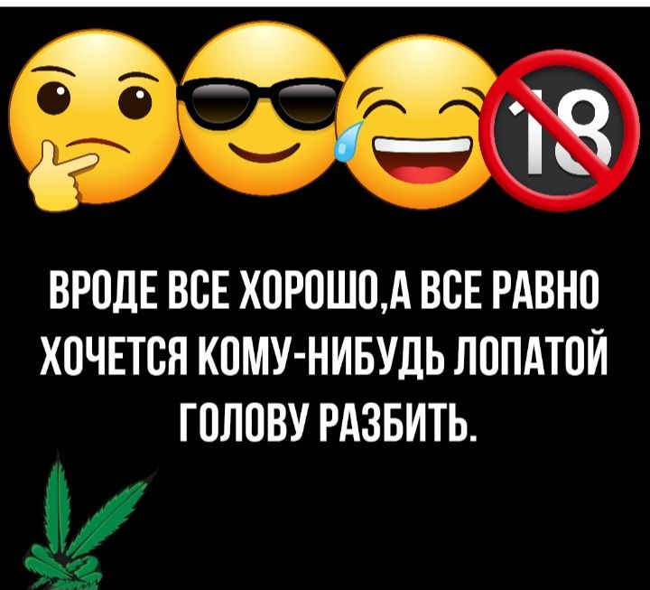 95 9 __8У ВРОДЕ ВСЕ ХОРОШОА ВСЕ РАВНО ХОЧЕТСЯ КОМУ НИБУДЬ ЛОПАТОЙ ГОЛОВУ РАЗБИТЬ