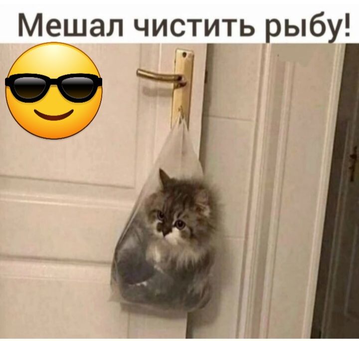 Мешал чистить рыбу