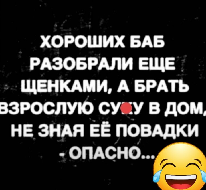 ХОРОШИХ БАБ РАЗОБРАЛИ ЕЩЕ ЩЕНКАПИ А БРАТЬ ВЗРОСЛУЮ СУПУ В дом НЕ ЗНАЙ ЕЕ ПОВАДКИ шитьё