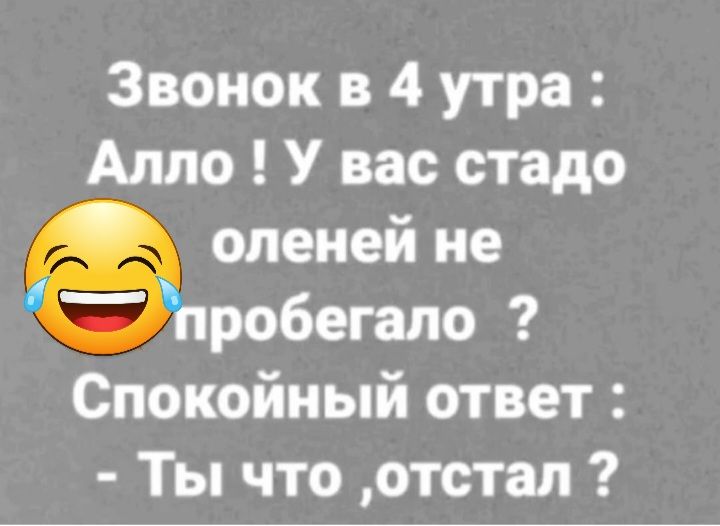 Звонок в 4 утра Алло У вас стадо олеией не робегало Спокойный ответ Ты что отстал