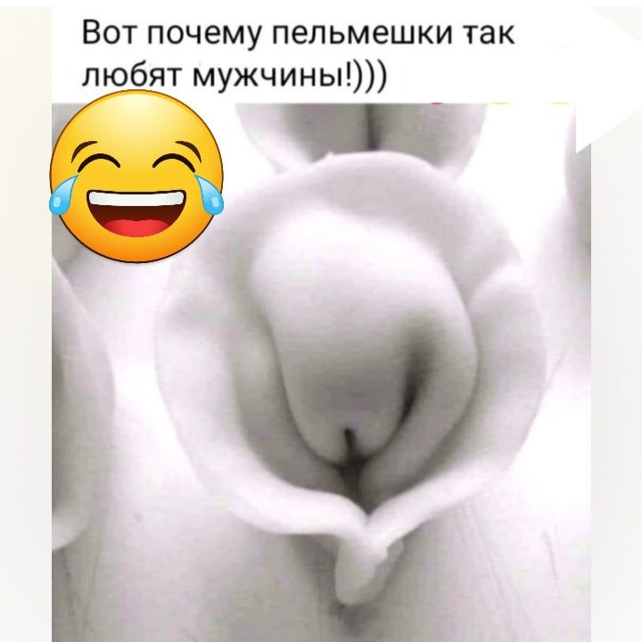 Вот почему пельмешки так любят мужчины