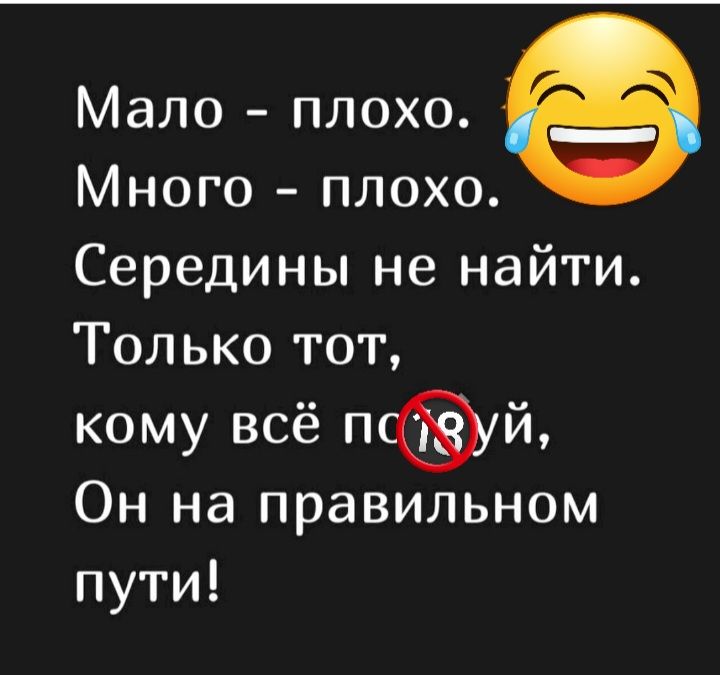 Мало плохо Много плохо Середины не найти Только тот кому всё псй Он на правильном пути