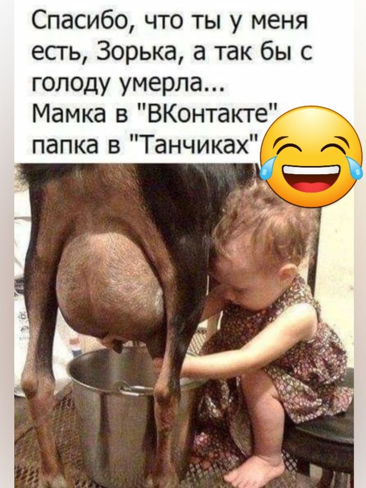 Спасибо что ты у меня есть Зорька а так бы с голоду умерла Мамка в ВКонтакге папка в Танчиках