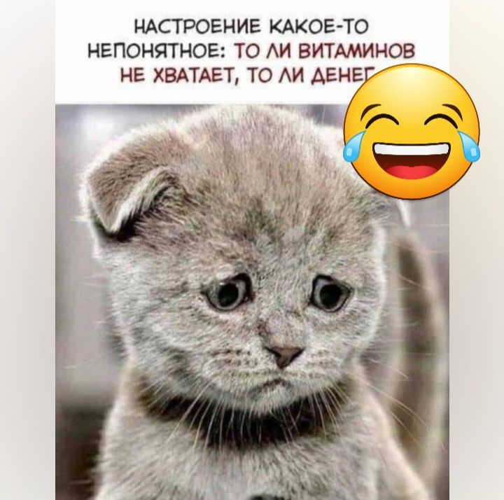 НАСТРОЕНИЕ КАКОЕ ТО НЕПОНЯТНОЕ ТО АИ ЕИТАМИН2_Б_ НЕ ХВАТАЕТ ТО АИ АЕНЕ