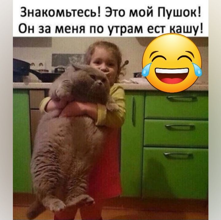 Знакомьтесь Это мой Пушок Он за меня по утрам ест ашу