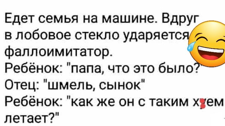 Едет семья на машине Вдруг в лобовое стекло ударяетс фаллоимитатор Ребёнок папа что это было Отец шмель сынок Ребёнок как же он с таким хяем летает