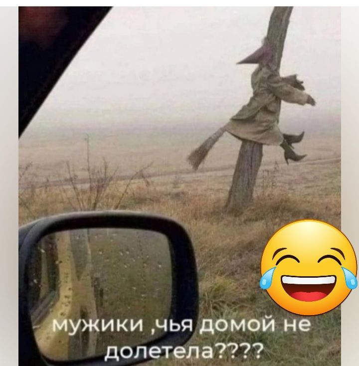 мужики чья домой не допетела