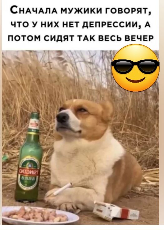 СНАЧАЛА МУЖИКИ ГОВОРЯТ ЧТО У НИХ НЕТ дЕПРЕССИИ А ПОТОМ СИЦЯТ ТАК ВЕСЬ ВЕЧЕР