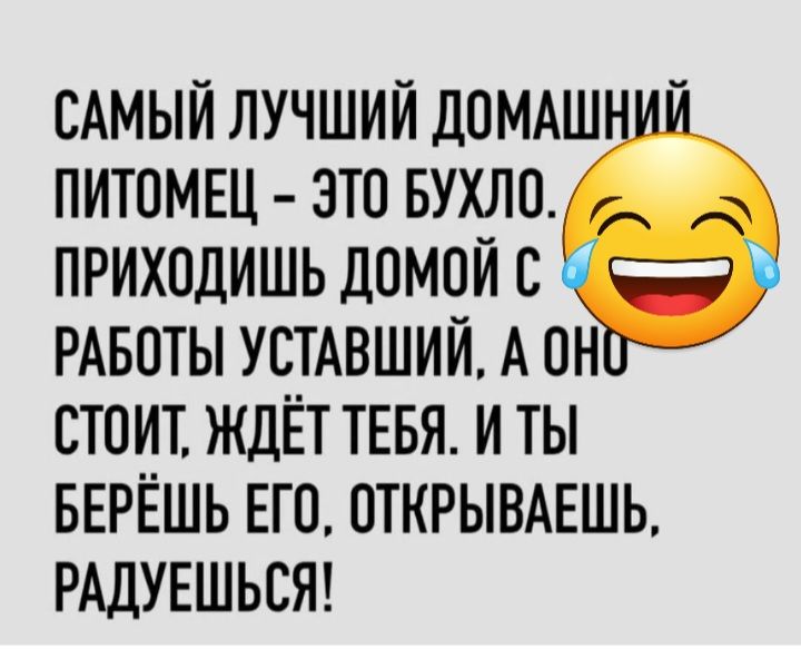 САМЫЙ ЛУЧШИЙ ДОМАШ ПИТОМЕЦ ЭТО БУХЛО ПРИХОДИШЬ ДОМОЙ С РАБОТЫ УСТАВШИЙ А ОН СТОИТ ЖДЁТ ТЕБЯ И ТЫ БЕРЁШЬ ЕГО ОТКРЫВАЕШЬ РАДУЕШЬСЯ